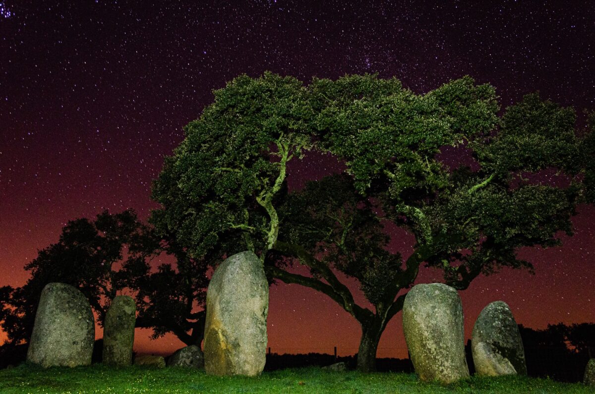 Scenic night view of prehistoric stones and oak tree under starry sky in Évora, Portugal.